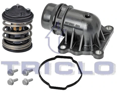 Thermostat, coolant (462497)