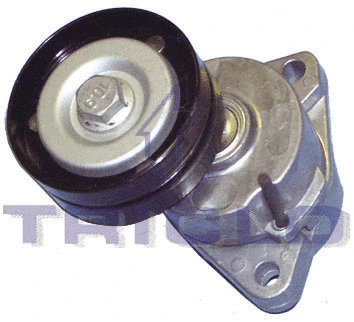 Belt Tensioner, V-ribbed belt (428499)