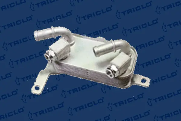 Oil Cooler, engine oil (418863)