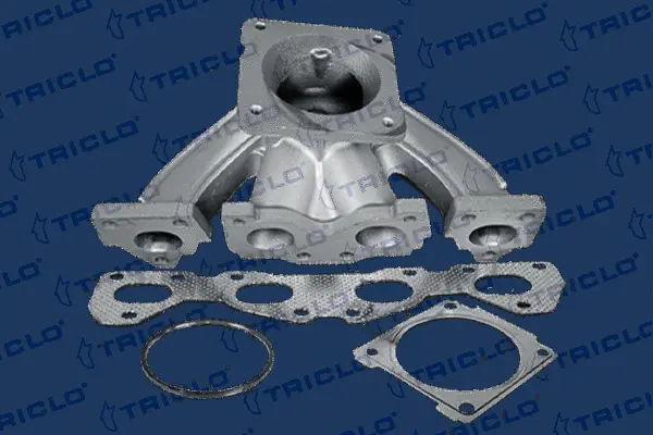 Manifold, exhaust system (350518)