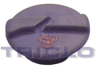 Cap, coolant tank (313325)