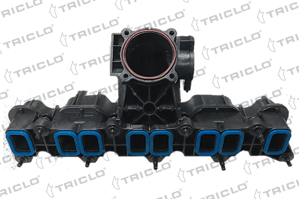 Intake Manifold Module (397200)