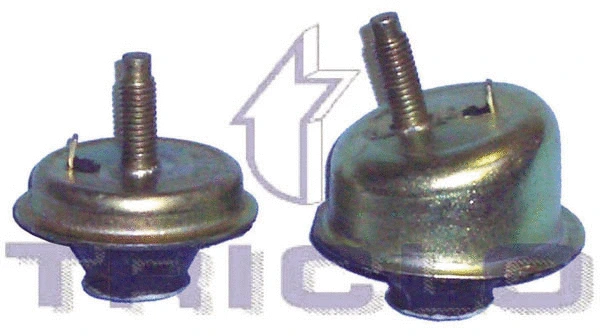 Mounting, engine (361630)
