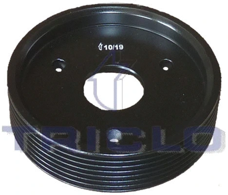 Belt Pulley, power steering pump (425270)