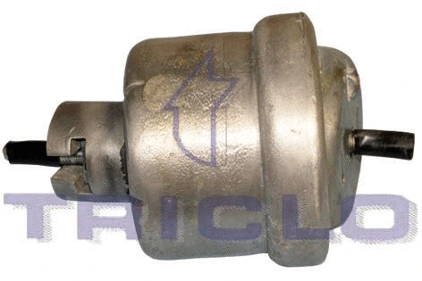 Mounting, engine (368663)