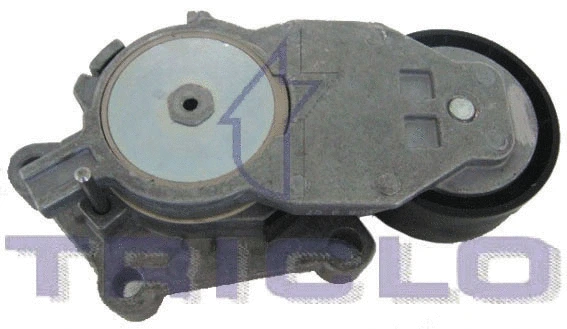 Belt Tensioner, V-ribbed belt (428827)