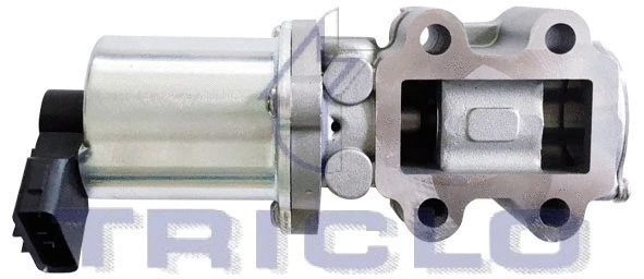 EGR Valve (346819)