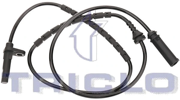 Sensor, wheel speed (432799)