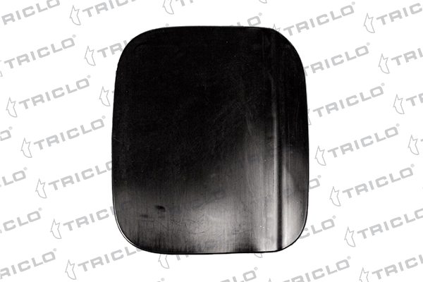 Cap, fuel tank (180907)