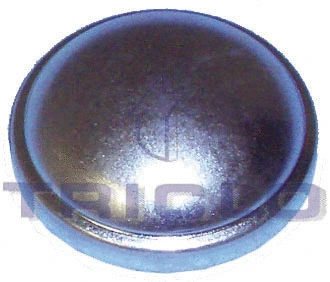 Protection Lid, wheel hub (328702)