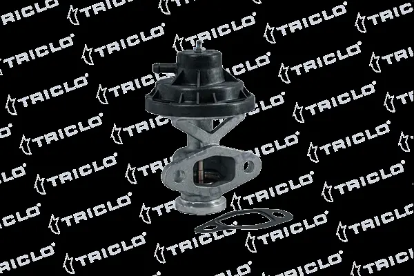 EGR Valve (343302)