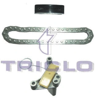 Timing Chain Kit (421250)