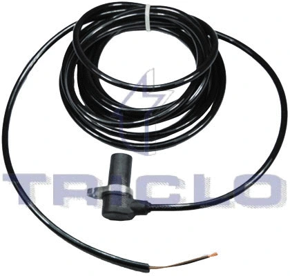 Sensor, wheel speed (432828)