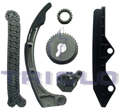 Timing Chain Kit (426519)