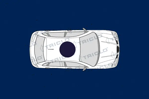 Hazard Warning Light Switch (143232)