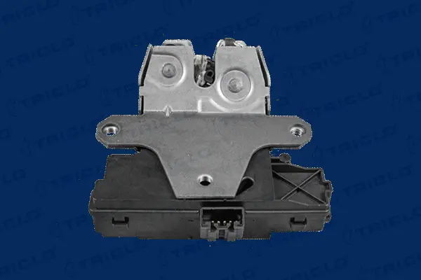 Tailgate Lock (138662)