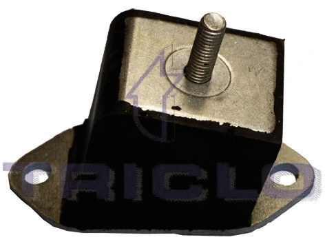 Mounting, engine (365365)