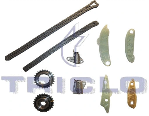 Timing Chain Kit (426575)