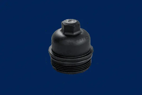 Cap, oil filter housing (312578)