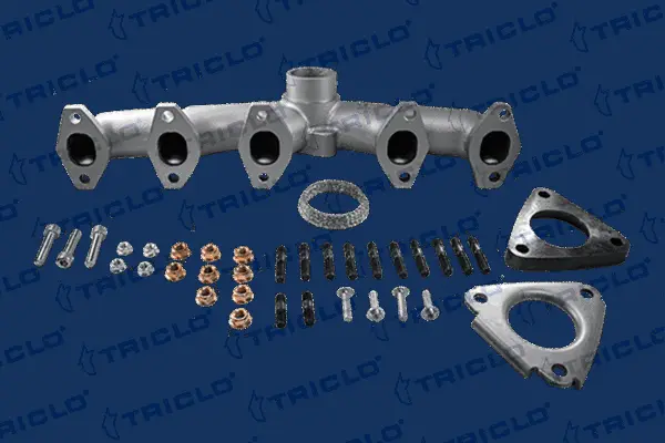 Manifold, exhaust system (350139)