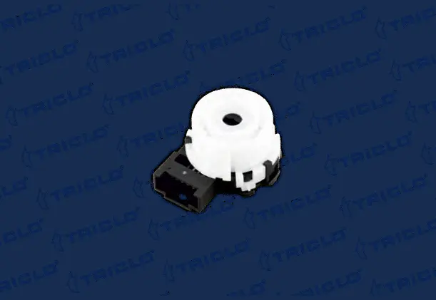 Ignition Switch (432557)