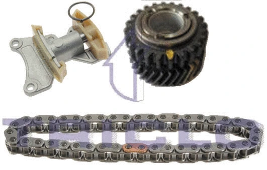 Timing Chain Kit (422193)