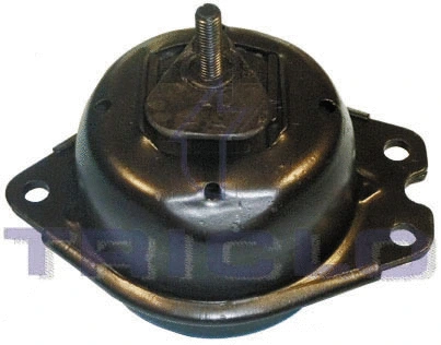 Mounting, engine (365644)