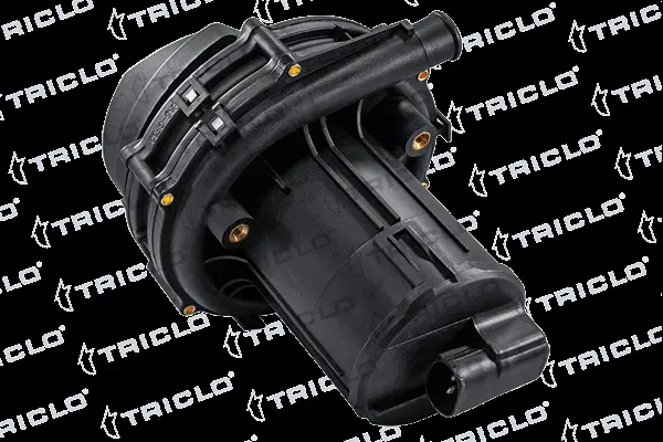 Secondary Air Pump (382381)