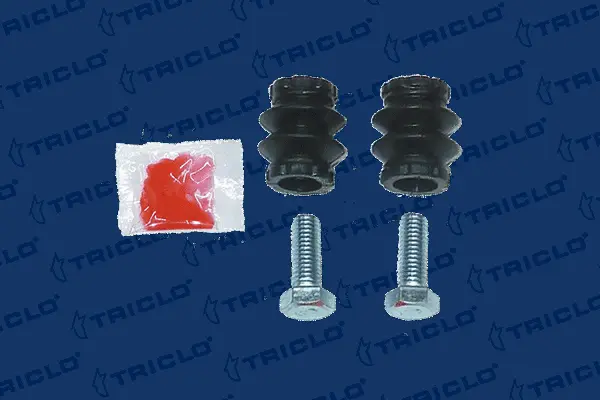 Repair Kit, brake caliper (877304)