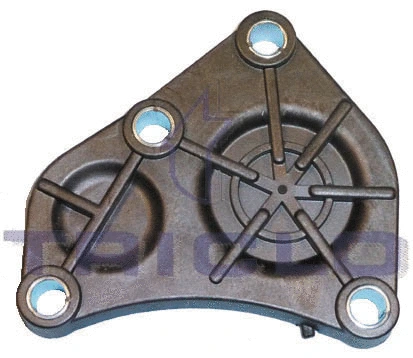 Locking Cover, camshaft (462403)