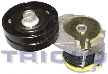 Belt Tensioner, V-ribbed belt (423960)