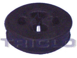 Mount, exhaust system (353077)
