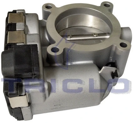 Throttle Body (382680)