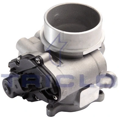 EGR Valve (345919)