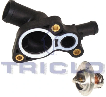 Thermostat, coolant (462911)