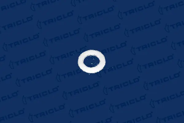 Seal Ring, oil drain plug (322600)