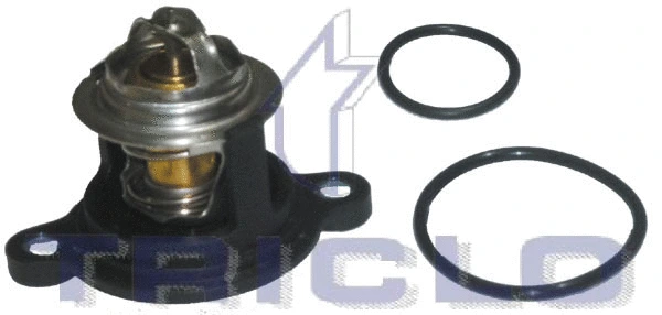 Thermostat, coolant (467102)