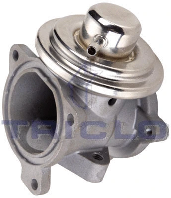 EGR Valve (342317)