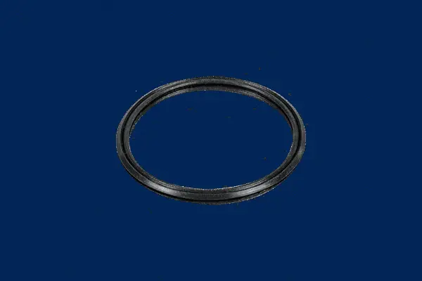 Seal Ring, charger (442145)