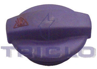 Cap, coolant tank (313327)