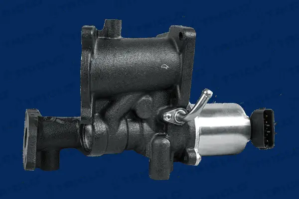 EGR Valve (347460)
