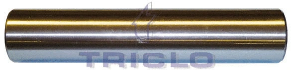Mounting, axle strut (781838)