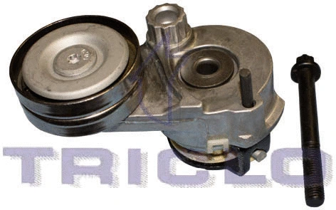 Belt Tensioner, V-ribbed belt (428647)