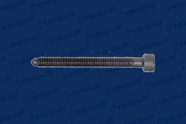 Screw, injection nozzle holder (161843)