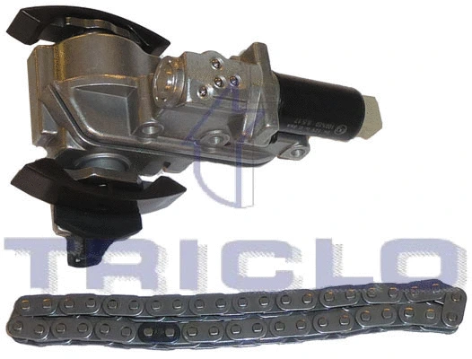 Control Valve, camshaft adjustment (423997)