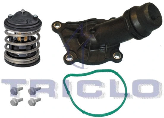 Thermostat, coolant (462498)