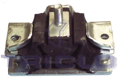 Mounting, engine (361625)
