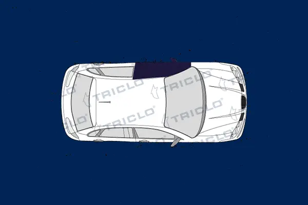 Switch, window regulator (145147)