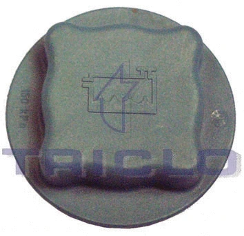 Cap, coolant tank (311358)