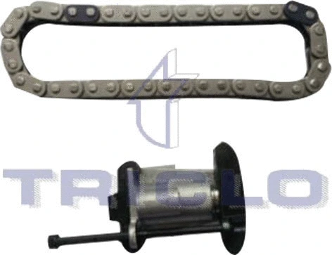 Timing Chain Kit (421247)